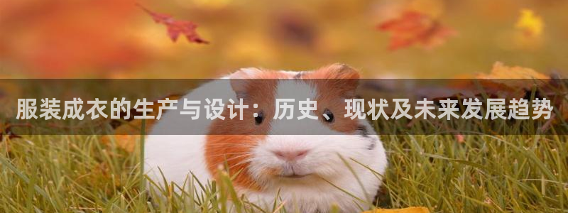 pg电子体育下载