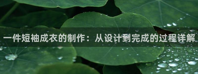 pg电子游戏试玩版下载