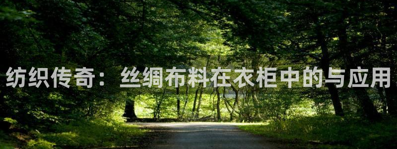 pg电子吧