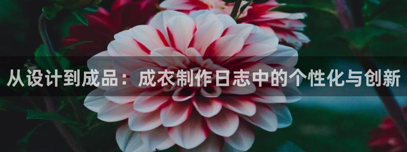 pg电子平台官方网址