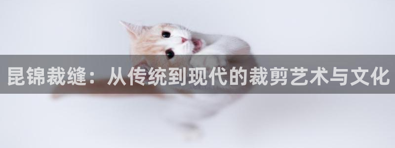pg电子大奖爆分视频