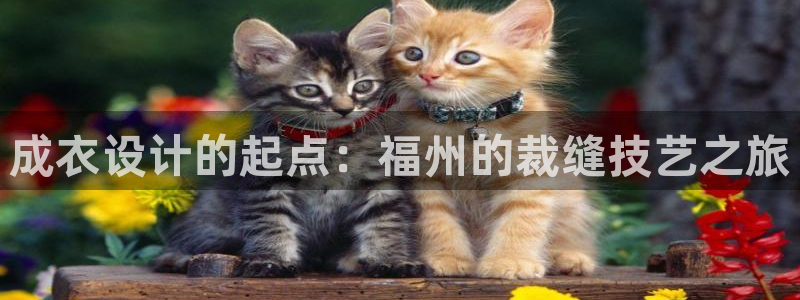 pg电子游戏哪里玩好爆