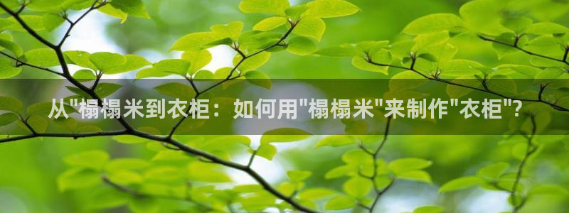 pg电子宝石传奇