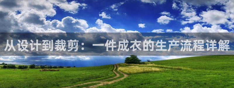 pg电子官方首页311