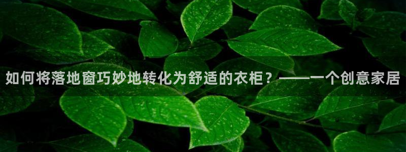 pg电子软件下载