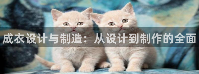 网站电子游戏PG怎么打