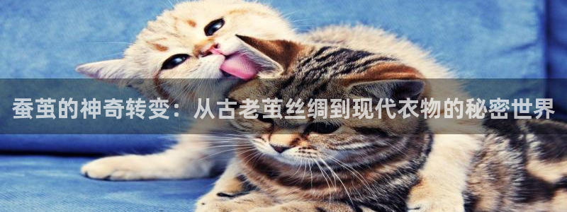 pg电子容易上头