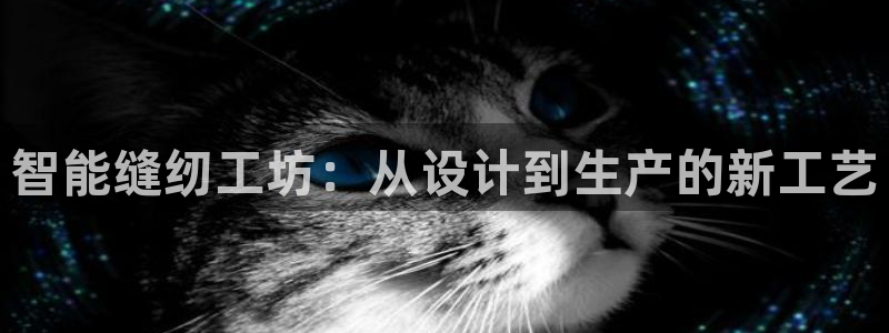pg电子下载