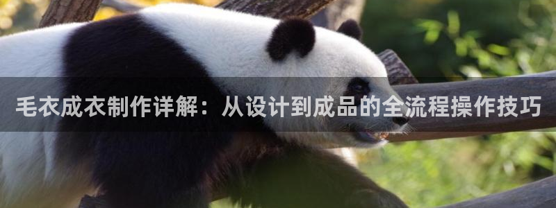 娱乐入口pg电子