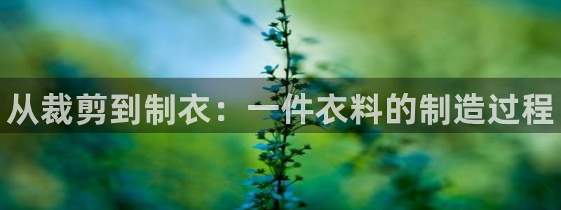 pg电子试玩地址
