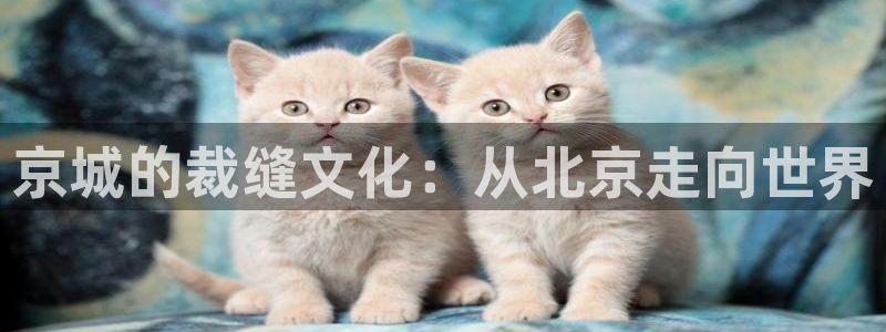 pg电子注单未返回