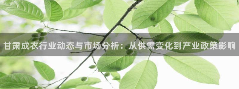 pg电子招财喵