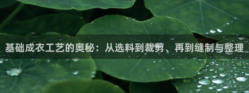 pg电子下载窗口
