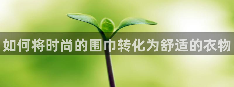 pg电子麻将胡胡了输