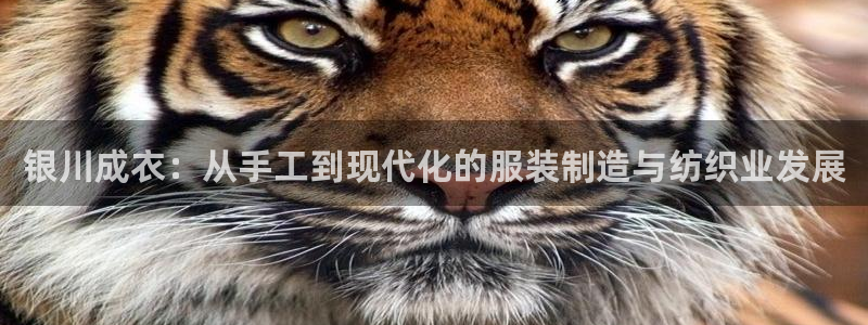 pg电子游戏在哪玩