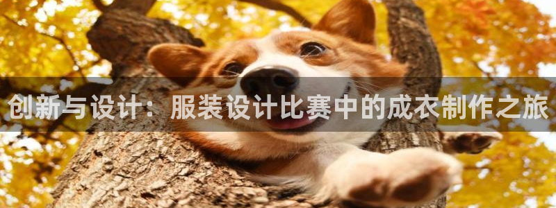 pg电子赏金船长技巧