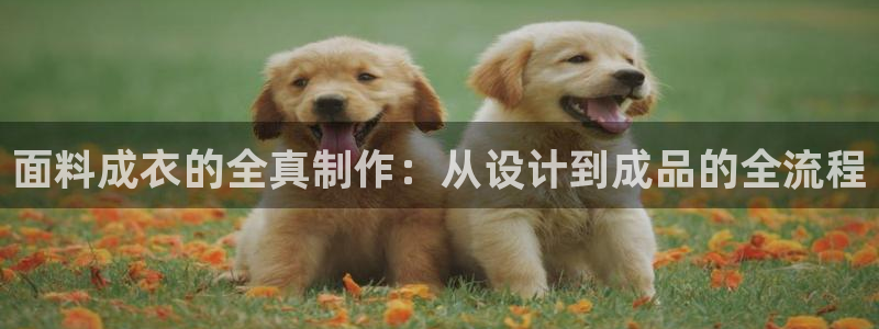 pg电子千赢国际