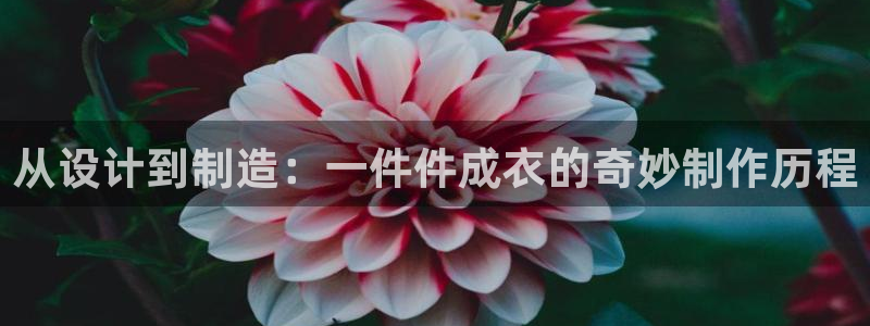 搜索电子专业术语PG
