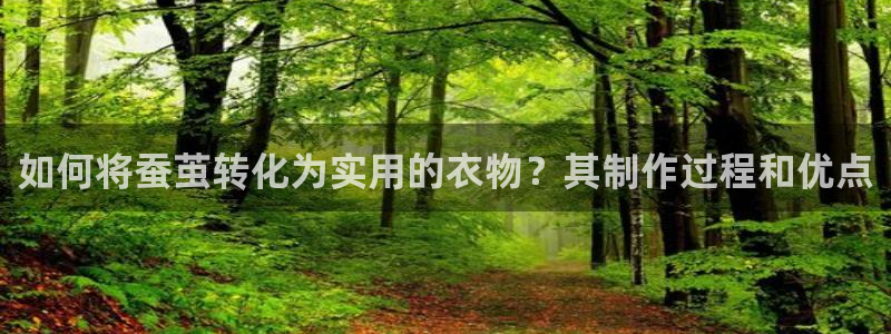 Pg电子刷分
