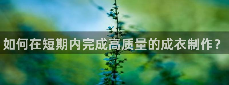 pg电子麻将胡了试玩儿