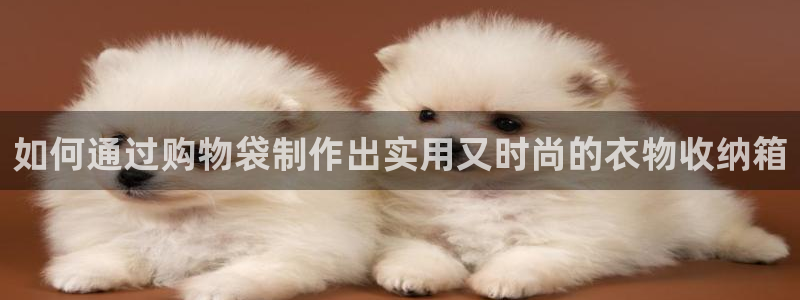 pg电子什么好玩