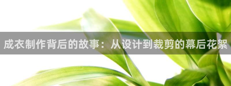 试玩pg电子y后之谜