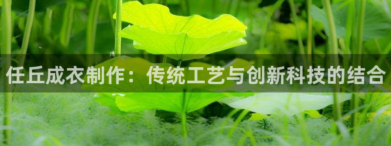 pg电子平台试玩体验