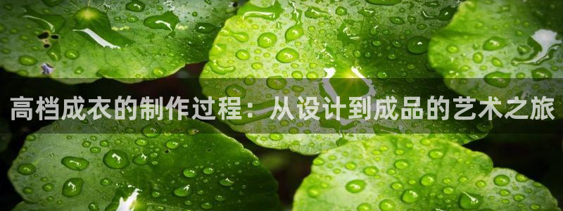 pg电子游戏交流群
