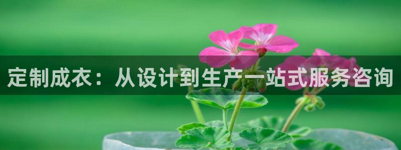 PG电子反水怎么算