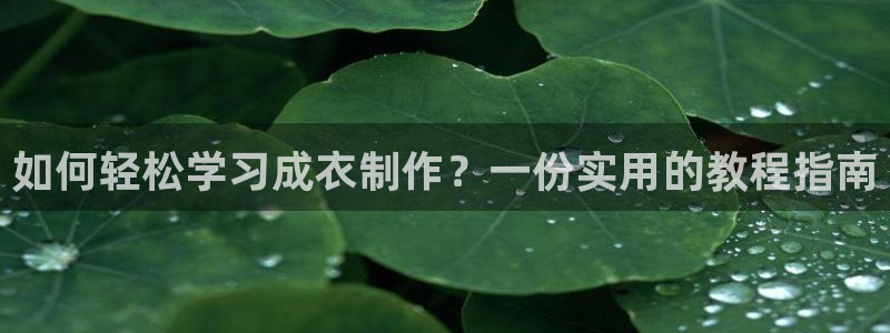pg电子麻将胡了太坑
