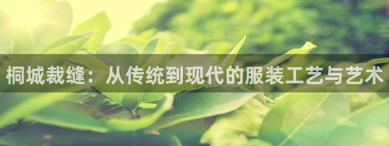 pg电子平台手机app