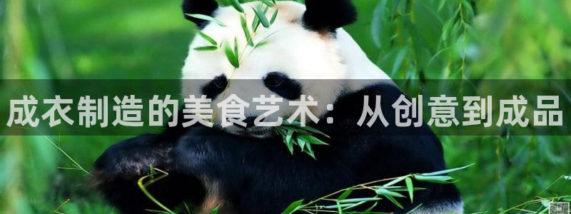 pg电子金猪抱财视频