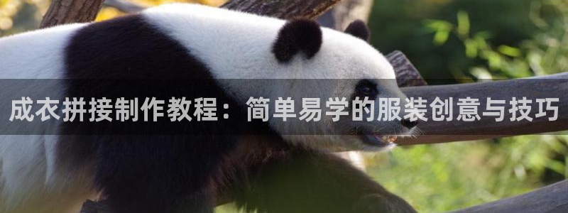 电子pg游戏怎么玩