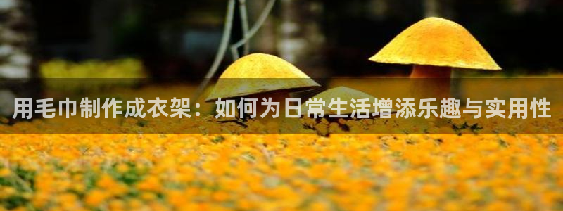 电子游戏PG压大