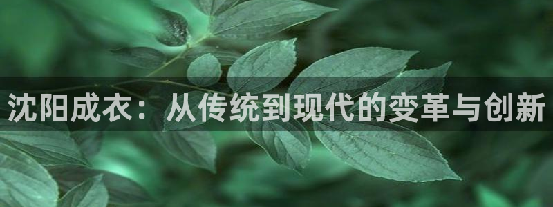 pg电子平台哪里找