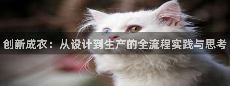 pg电子app全能版