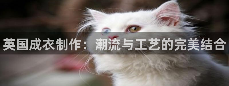 pg电子直播试玩