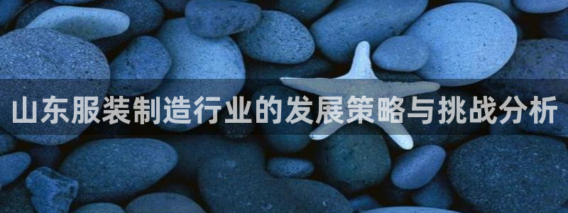 pg电子各大网站