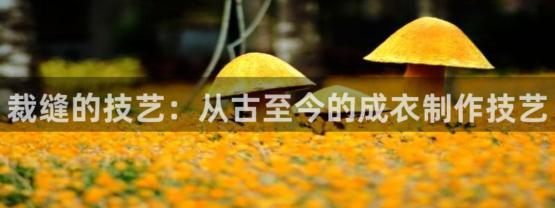 pg电子成就非凡