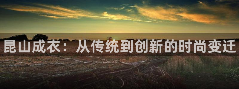 PG电子麻将胡了漏洞