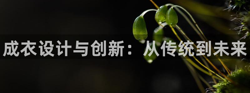 澳门pg电子网站