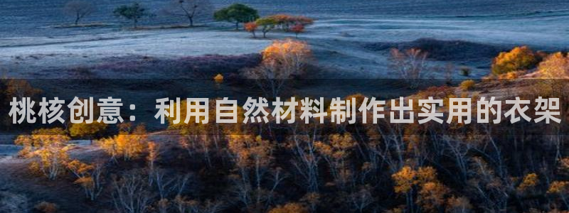 pg电子破解版苹果