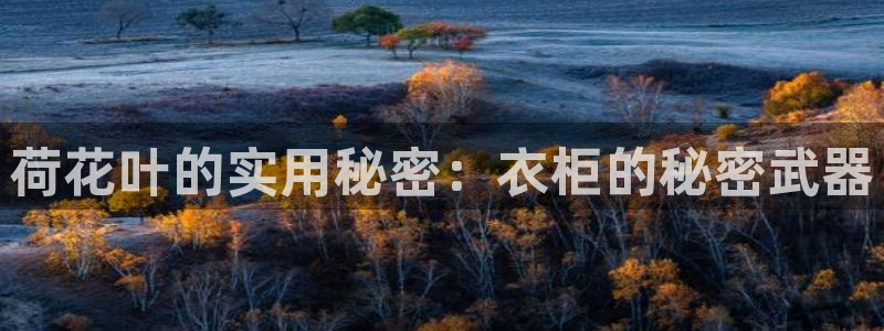 PG电子官网欣ly79