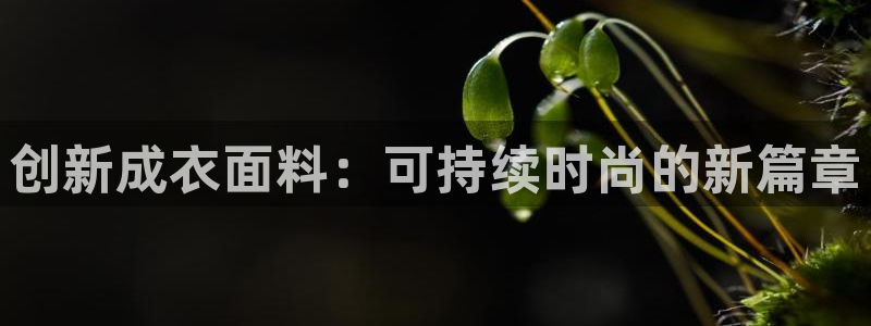 pg电子免费版ios