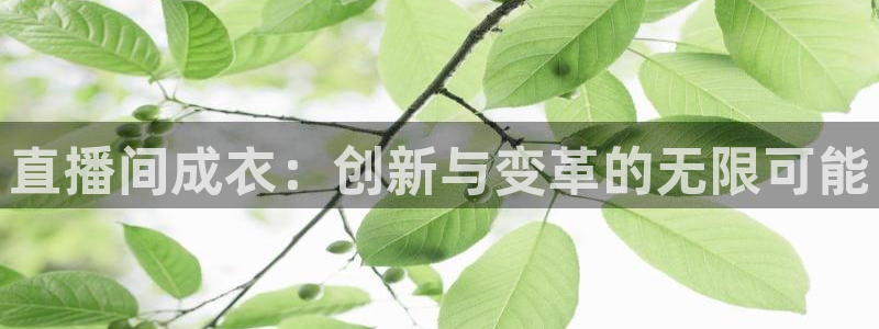 pg电子比基尼视频
